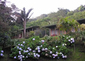 Monteverde Cloudforest Lodge Monteverde Cloudforest Lodge