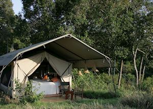 Offbeat Mara Camp, Masai Mara Offbeat Mara Camp, Masai Mara