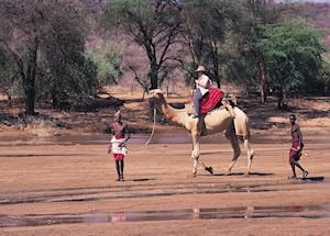 Camel safari, Samburu Intrepids Camel safari, Samburu Intrepids