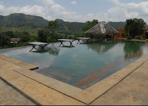 Rainforest Edge, Sinharaja Rainforest Edge, Sinharaja