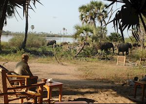 Lake Manze Tented Camp, Selous Game Reserve Lake Manze Tented Camp, Selous Game Reserve