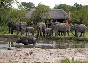 Simbambili Game Lodge, The Sabi Sand Wildtuin Simbambili Game Lodge, The Sabi Sand Wildtuin