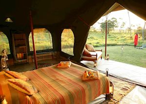Elephant Pepper Camp Honeymoon suite, Masai Mara Elephant Pepper Camp Honeymoon suite, Masai Mara