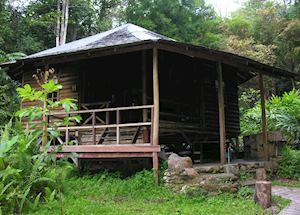Cabin, Permai Rainforest Resort, Damai Peninsula Cabin, Permai Rainforest Resort, Damai Peninsula
