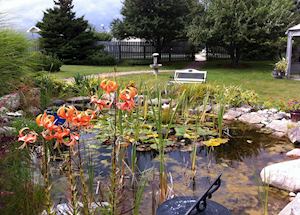 Seascape Coastal Retreat,Ingonish,Canada Seascape Coastal Retreat,Ingonish,Canada