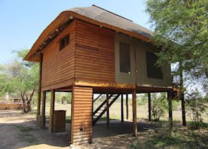 Nthambo