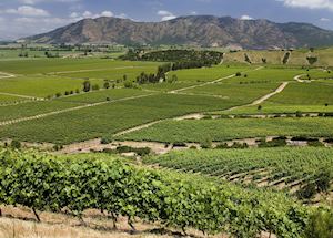 Colchagua wine region, Chile Colchagua wine region, Chile