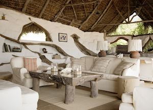 Sand Rivers, Selous Game Reserve