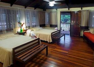 River Room at Selva Verde