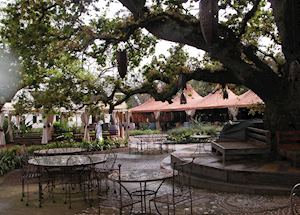 Spier, Stellenbosch