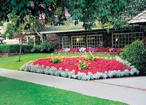 Royal Scot Suite Hotel, Victoria Royal Scot Suite Hotel, Victoria