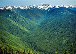 Hurricane Ridge Olympic National Park Hurricane Ridge Olympic National Park