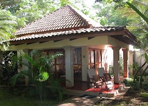Capitan Suizo, Tamarindo