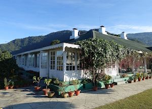 Glenburn Tea Estate