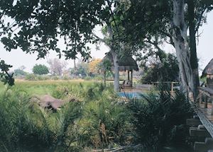 Little Mombo, Chiefs Island
