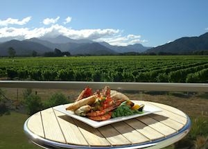 Marlborough Vintners Hotel, Blenheim & The Winelands