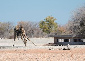 Underground photographic hide at Andersson's at Ongava Underground photographic hide at Andersson's at Ongava