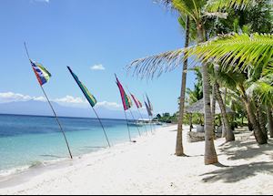View along the beach at Coco Grove Beach Resort, Siquijor, Philippines View along the beach at Coco Grove Beach Resort, Siquijor, Philippines