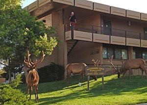 Thunderbird Lodge, Grand Canyon National Park - South Rim Thunderbird Lodge, Grand Canyon National Park - South Rim