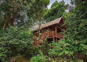 Wa Ale Resort Treehouse