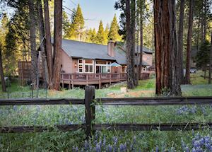 Redwoods in Yosemite 2A -Gold - 4 bedroom
