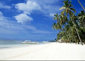 Alona Beach, Panglao Island, Bohol Alona Beach, Panglao Island, Bohol