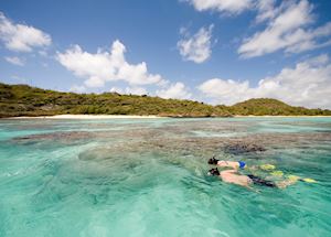 Snorkelling at Green Island, Antigua Snorkelling at Green Island, Antigua