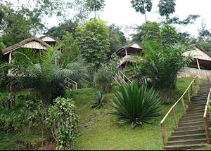 Buhoma Homestead, Bwindi Impenetrable Forest National Park Buhoma Homestead, Bwindi Impenetrable Forest National Park