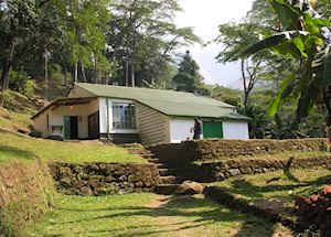 Foothills of Mulanje, Lujeri Estate
