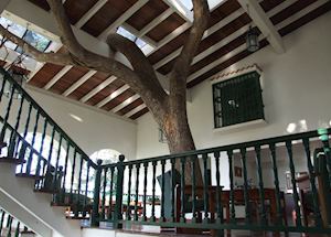 Hotel Moka, Las Terrazas