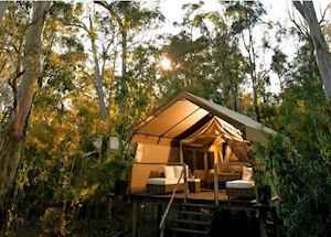 Deluxe Safari Tent, Paperbark Camp, Jervis Bay Deluxe Safari Tent, Paperbark Camp, Jervis Bay