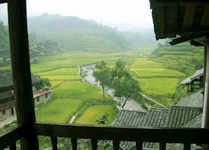 View of rice terraces from the Zhaoxing Hotel, Zhaoxing View of rice terraces from the Zhaoxing Hotel, Zhaoxing