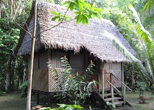 Cabin, Manu Wildlife Centre Cabin, Manu Wildlife Centre