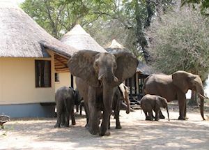 Nsefu Camp, South Luangwa National Park Nsefu Camp, South Luangwa National Park