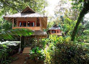 Cabinas, Copa de Arbol Beach & Rainforest Resort,Copa de Arbol Cabinas, Copa de Arbol Beach & Rainforest Resort,Copa de Arbol