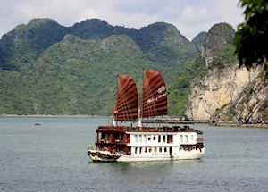 Halong Violet Halong Violet