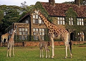 Giraffe Manor, Nairobi Giraffe Manor, Nairobi