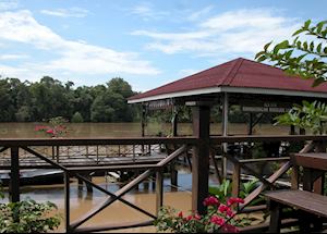 Kinabatangan River Lodge, Kinabatangan River