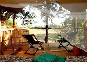 Chikoko Trails, South Luangwa National Park
