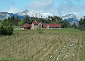 The Bell Tower and its vineyards, Blenheim & The Winelands