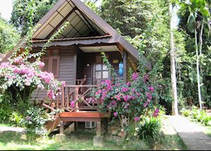 Standard Chalet, Taman Negara Resort, Taman Negara National Park