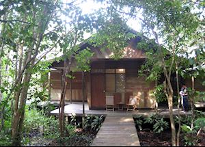 Rimba Lodge, Tanjung Puting