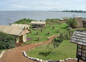 Ngamba Island Tented Camp, Ngamba Island Chimpanzee Sanctuary
