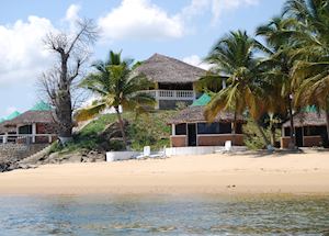 Baobab Ankify, Ankify