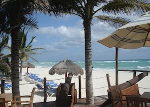 Petit Lafitte, Playa del Carmen