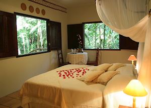 Standard room, Amazon Eco Park