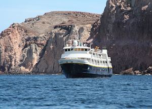 National Geographic Sea Lion/Sea Bird, La Paz