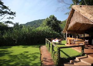 Gorilla Forest Camp, Bwindi Impenetrable Forest National Park