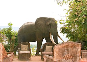 Vundu Camp, Mana Pools
