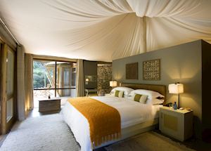 Dwyka Tented Lodge, Sanbona Game Reserve